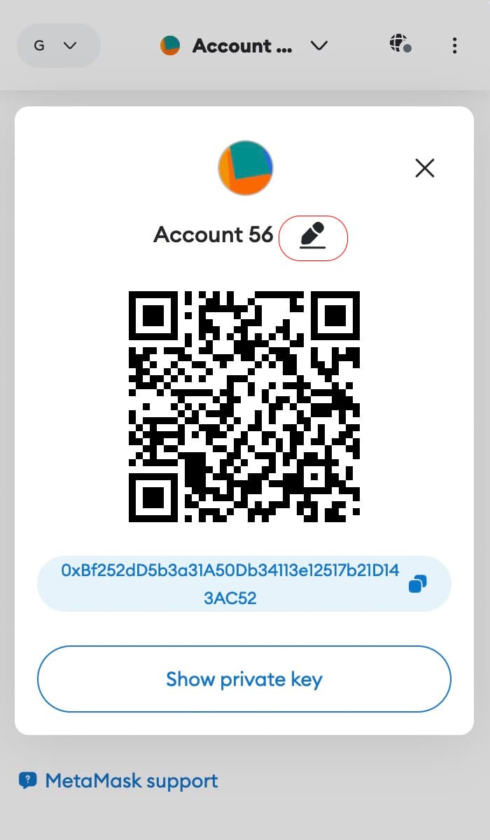 MetaMask Account Details